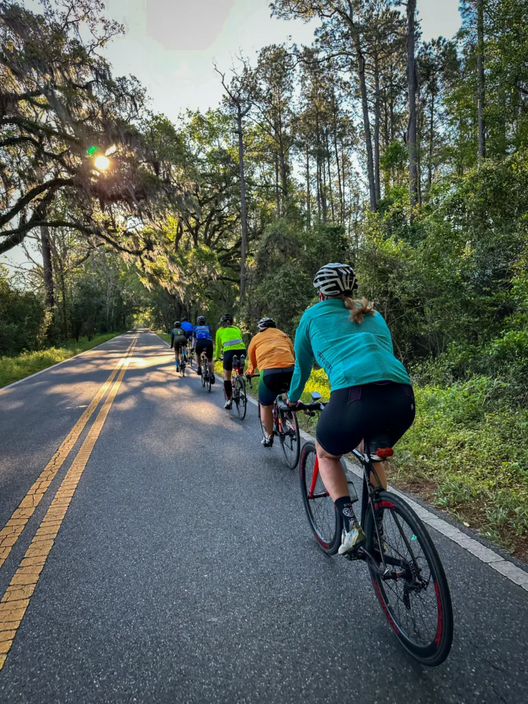A group of cyclists riding down a beautiful road